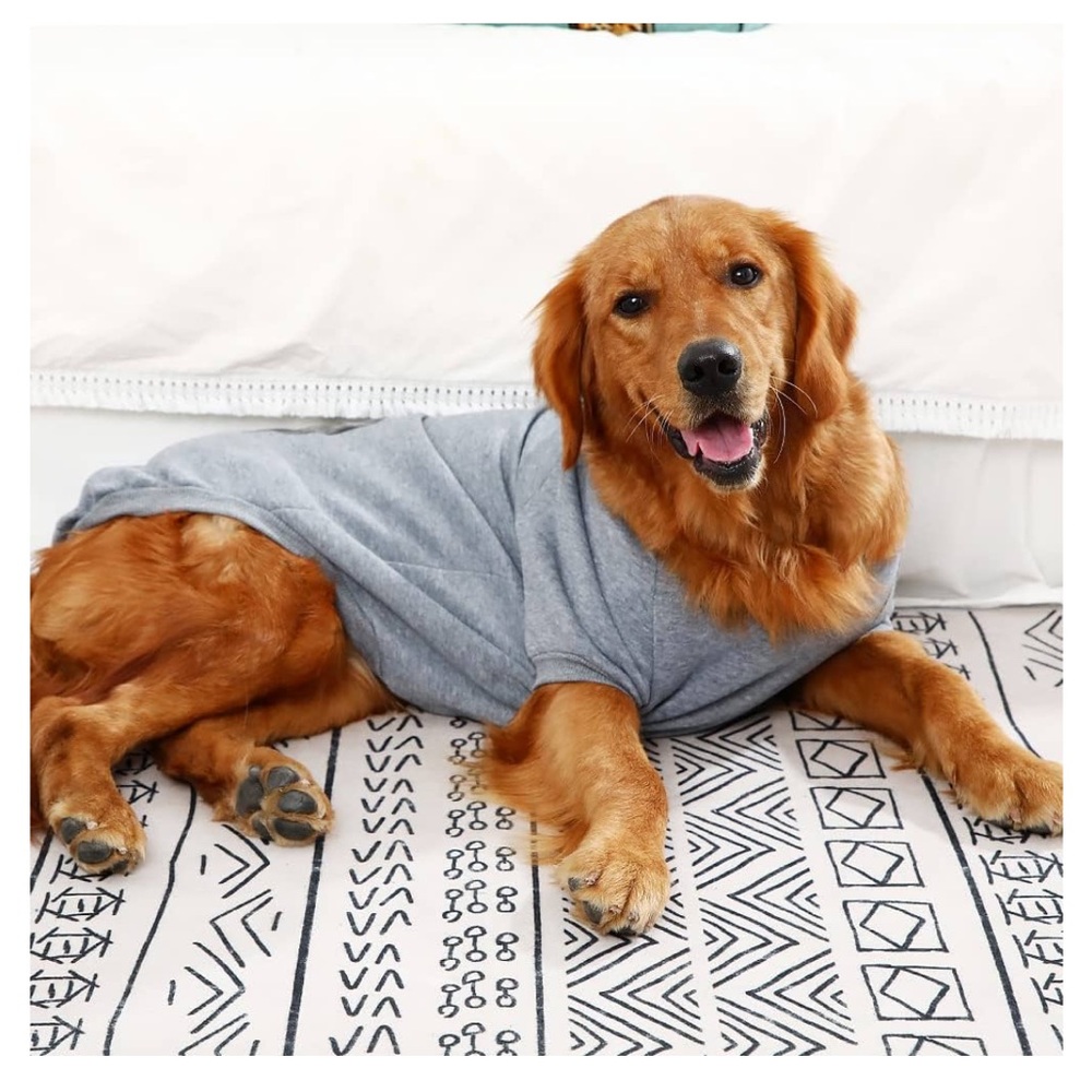 Dog Face Grey Hoodie for Dogs - Cozy Pet Sweatshirt - Picture 4 of 5